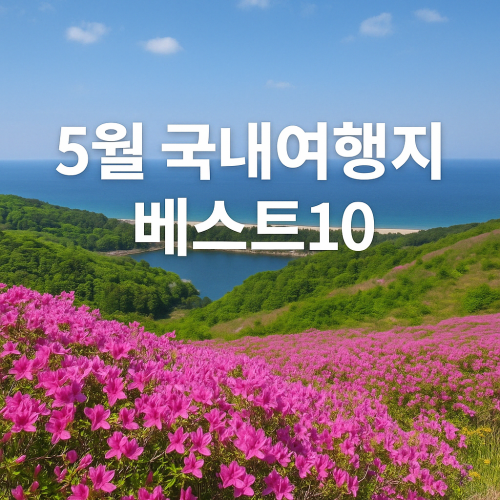 5월 국내여행지 베스트10 SNS 난리 난 곳 총정리