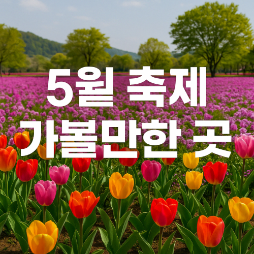 5월 축제 가볼만한 곳 지금 아니면 1년 기다려야 해요