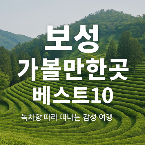 보성 가볼만한곳 한 번 가면 무조건 다시 가고 싶어지는 명소 베스트10