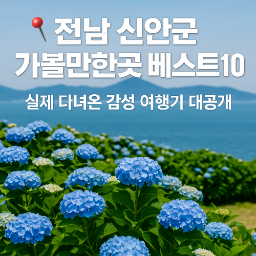 신안군 여행코스 가볼만한 곳 총정리