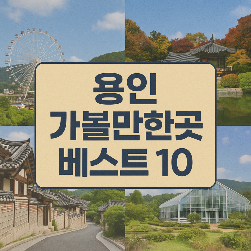 용인 가볼만한곳 베스트10 인생샷 건지는 감성 스폿!