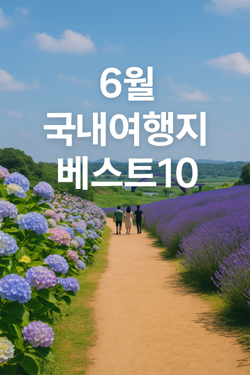 6월 국내여행지 베스트10 수국 라벤더 만개 감성 폭발