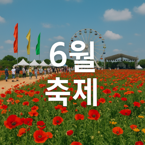 6월 축제 2025 놓치면 후회하는 베스트10
