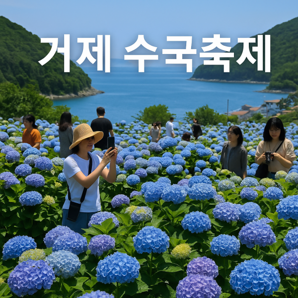 거제 수국축제 기간 개화시기 카페 총정리