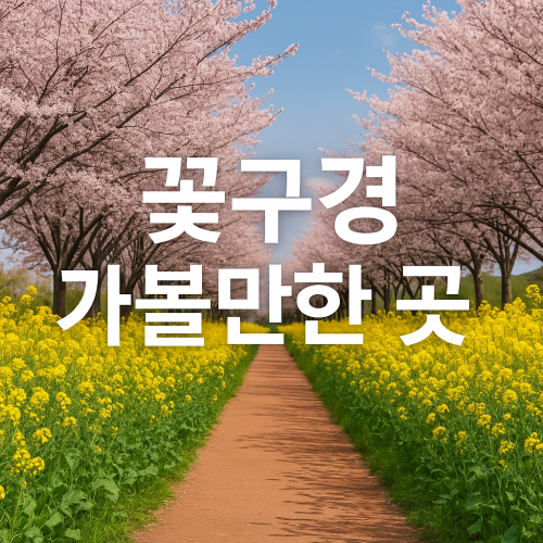 꽃구경 가볼만한 곳 시간 돈 아끼는 현실 가이드