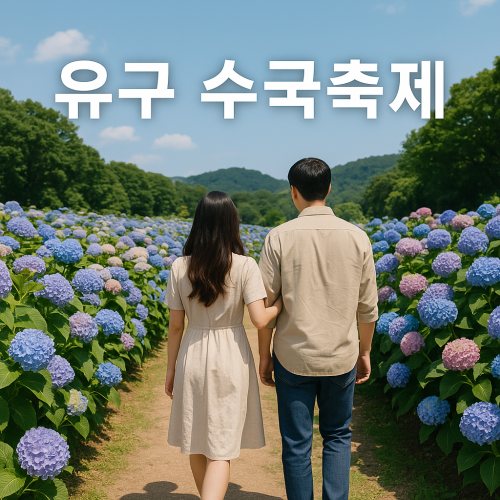 유구 수국축제 가기 전 꼭 알아야 할 꿀팁 총정리