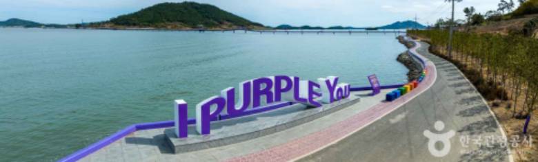 퍼플섬 라벤더 축제 후기 무료로 입장하는 법 100% 알려드림