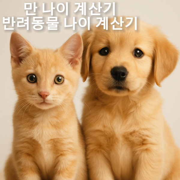 나이 계산기 끝! 만 나이부터 강아지·고양이 나이까지 총정리