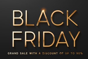 블랙프라이데이 기간